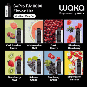 WAKA SoPro PA10000 PUFFS2025